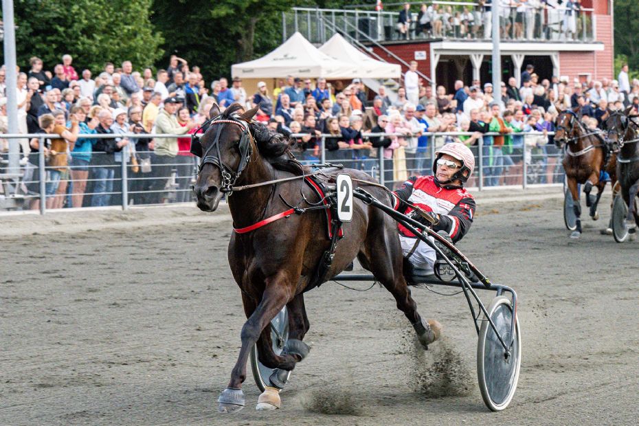 Se op for Morten Dams heste p� travbanen