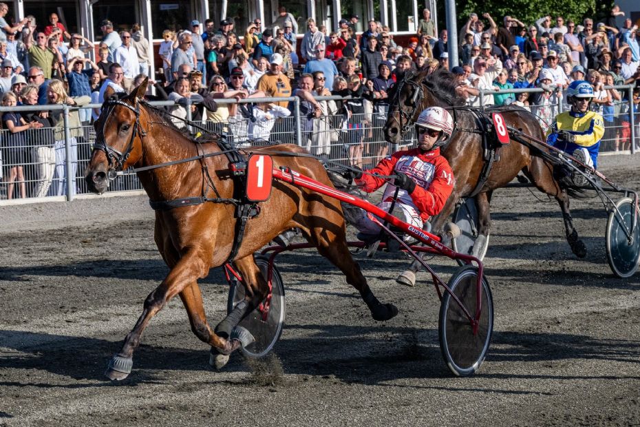 10 heste l�ber om Bornholms Derby-titel