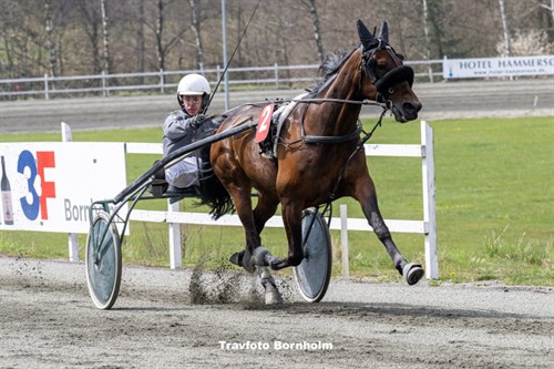 Flot andenplads til Chardonnay i Sverige 