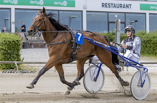 Bornholmeropdr�t til tops i Odense