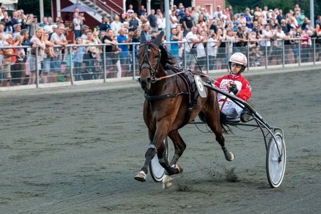 Derbyheste jagter Foxie Hills rekordtid