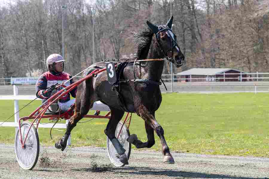 3-�rs mesteren kommer i nyt hovedlag i 4-�rsmesterskabet