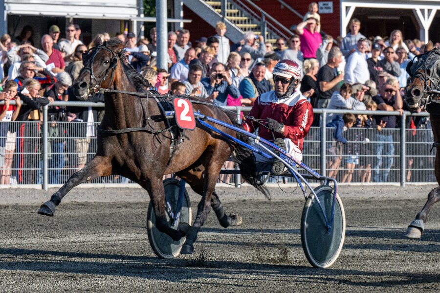 Tre tr�ningsstalde har snart rundet 100.000 kr.