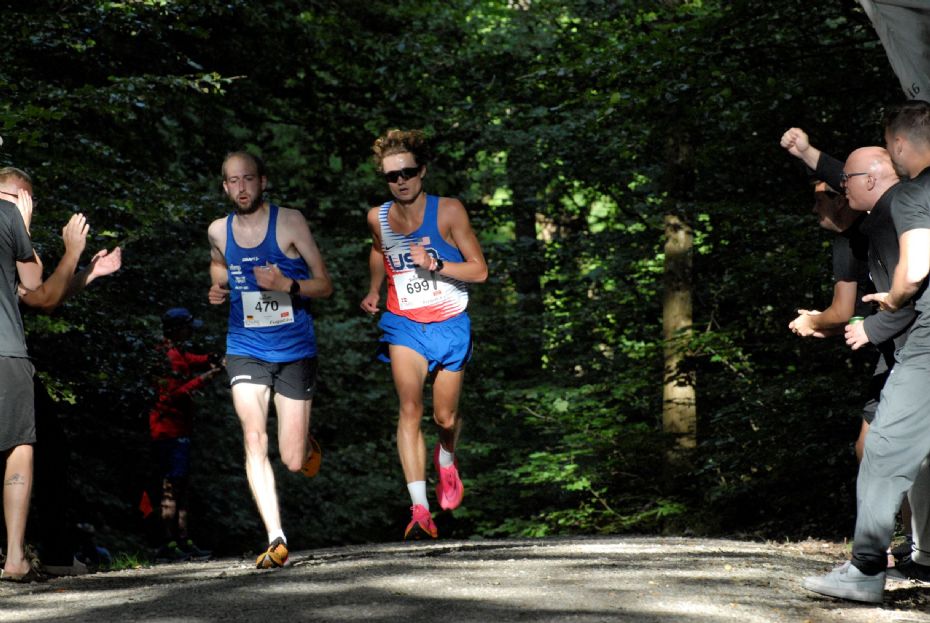 Fra skoven til klipperne