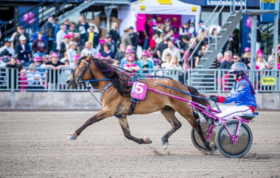 Landsholdspony til generalpr�ve inden DM