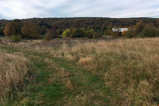 Firmaet bag ny ferieby kraftigt udfordret