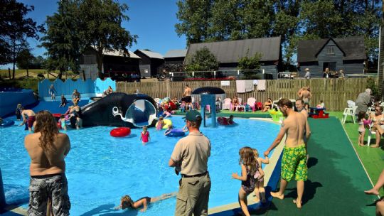 Tilbagegang for Br�ndesg�rdshaven