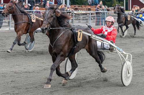 Travhest p� Bornholm solgt til Tyskland