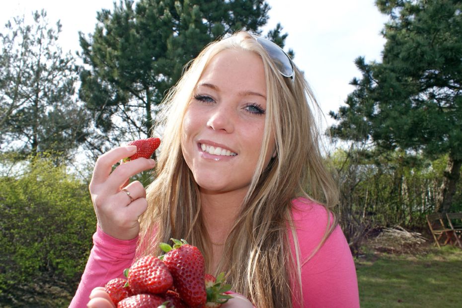 Rundt om sommerens mest popul�re b�r