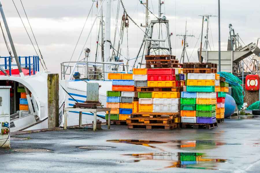 Fiskeskipper d�mt for voldsomt overfiskeri