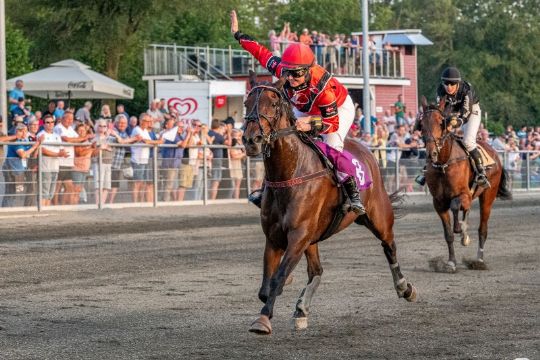 Kort BM-distance skal sk�ne hestene