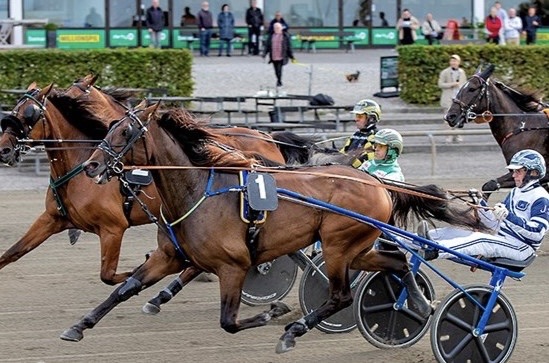 Bornholmsk opdr�t kan kvalificere sig til derbyet