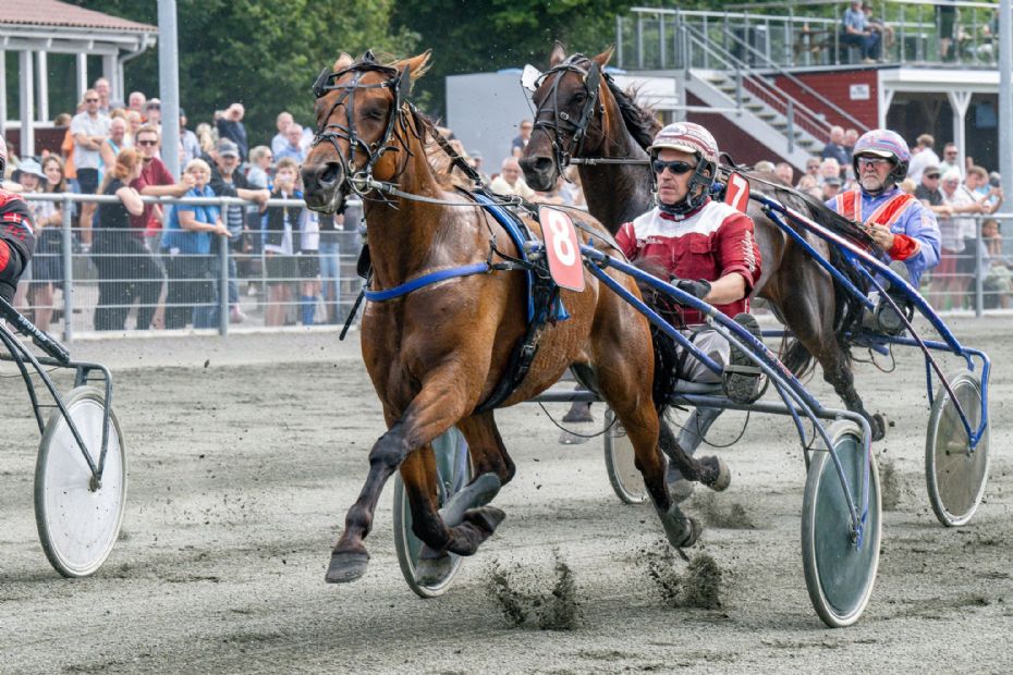 Frank Mikkelsens heste har rundet 200.000 kr.