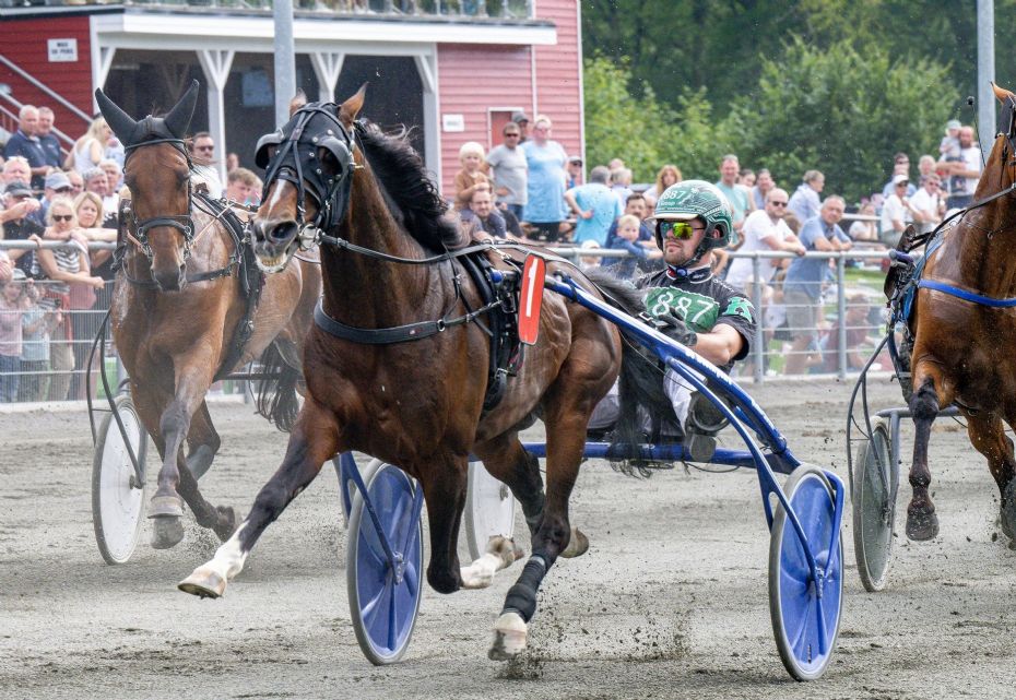 S� er der sat kusk p� til BM-hestene