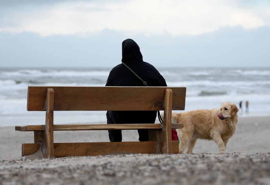 Tag hunden med til skov og strand