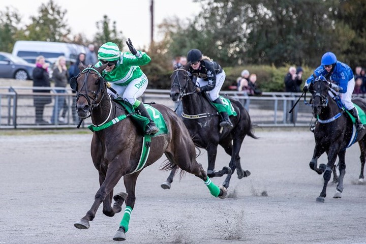Monteekspert skal underviser de unge