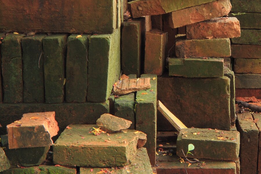 Alger kan bek�mpes