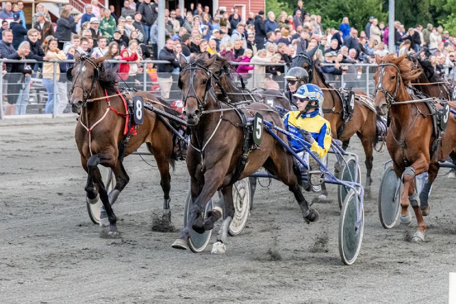 Give Me Love overrasker i eliteserien