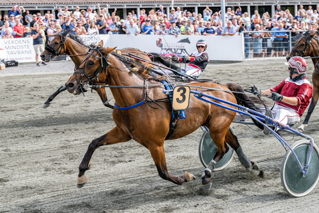16 heste dyster om Bornholmsmesterskab