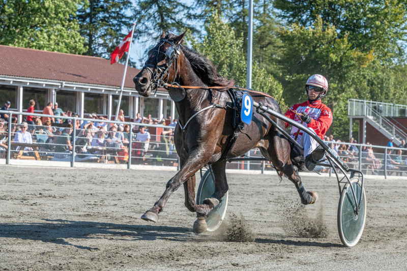 Mads Petersen i kvalifikation til Nordens st�rste amat�rl�b