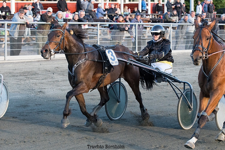 Brog�rd smed chancerne v�k i Sverige