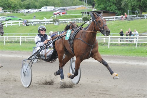 Bornholmsk opdr�t til tops i Aarhus