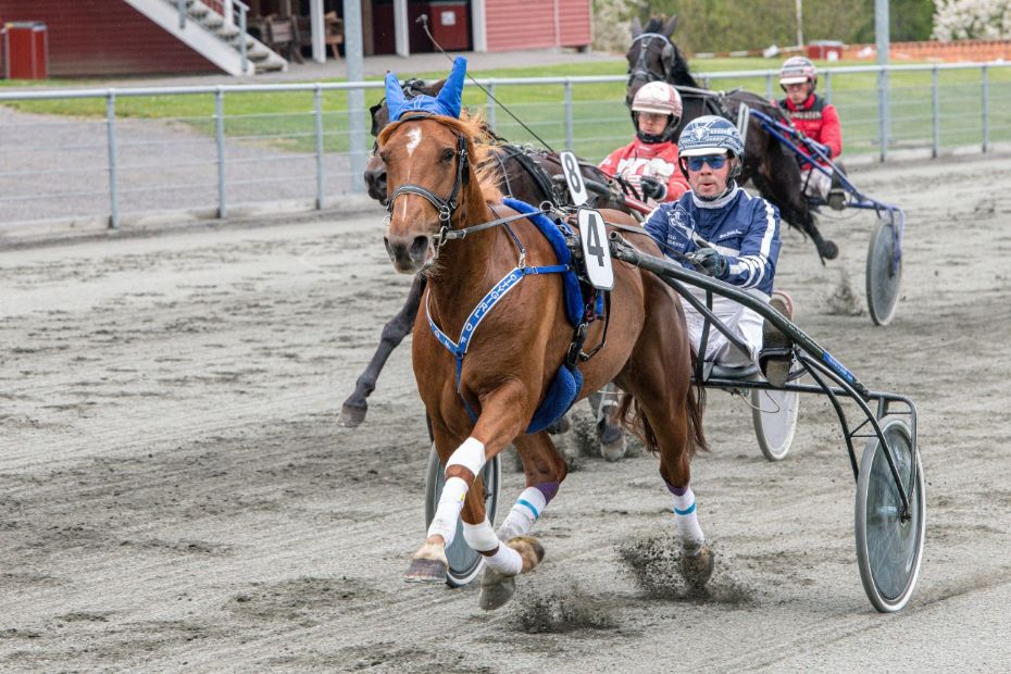 Martin Sj�holm Jensen klar til EM i Finland
