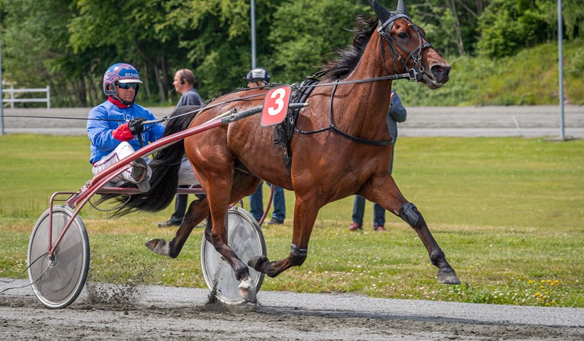 Travprofil melder fra efter uds�ttelse af l�bsdag