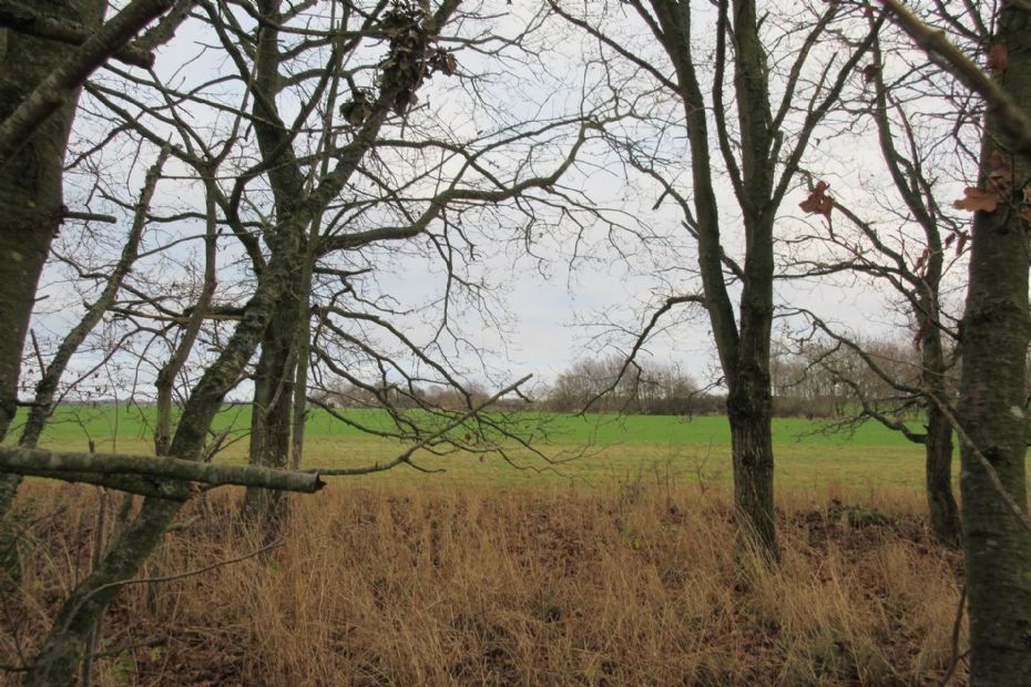 Gr�nt lys for nyt sommerhus