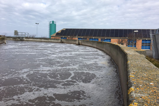 Fortyndet spildevand t�t ved Skovly Strand