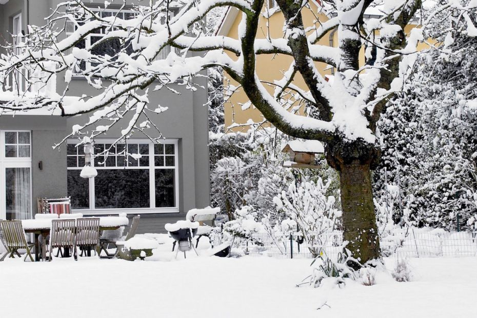 Havearbejde i januar