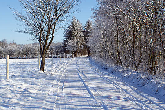 DMI: Koldt og lidt sol