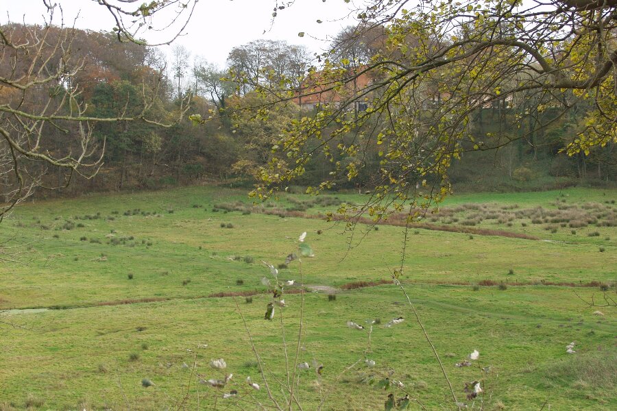 Staten vil beskytte s�rlige naturarealer