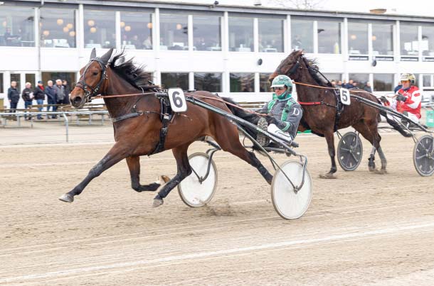 Stutteri Dust med ny stjerne?