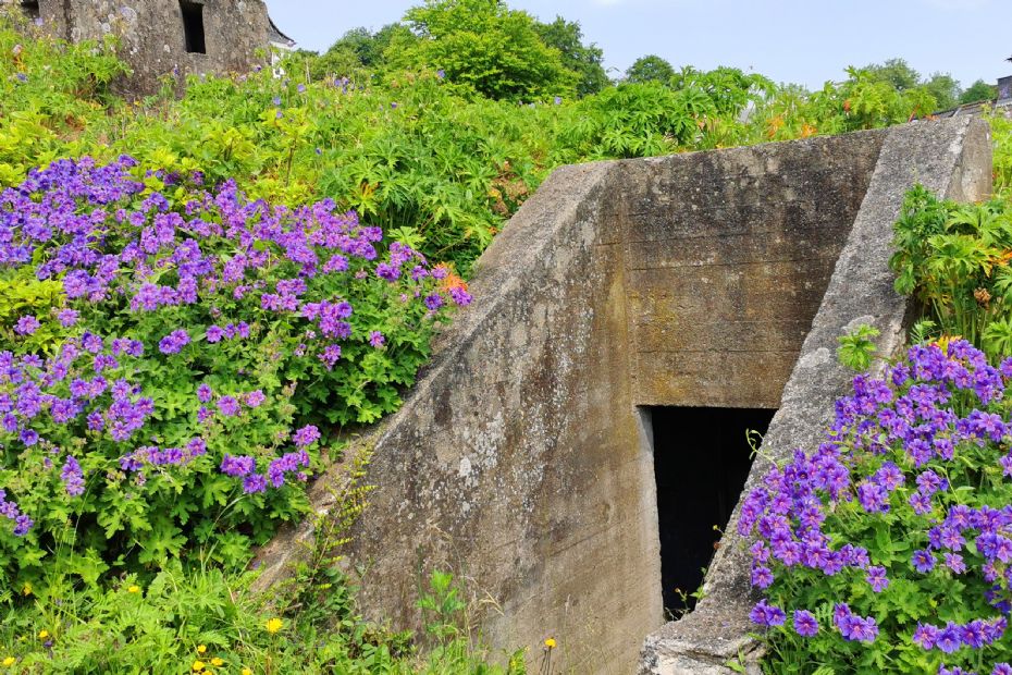Bekymrede borgere sp�rg til sikringsrum
