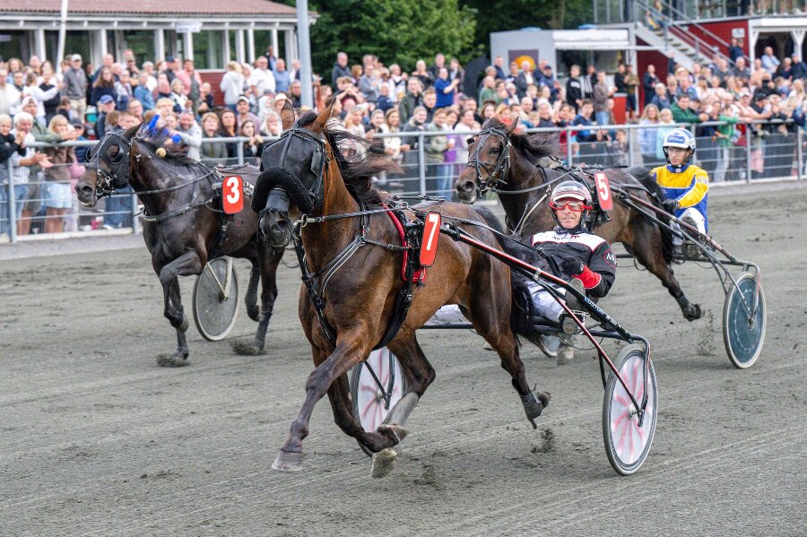 Rekord: Pr�mier for 2,8 mio. kr. p� travbanen