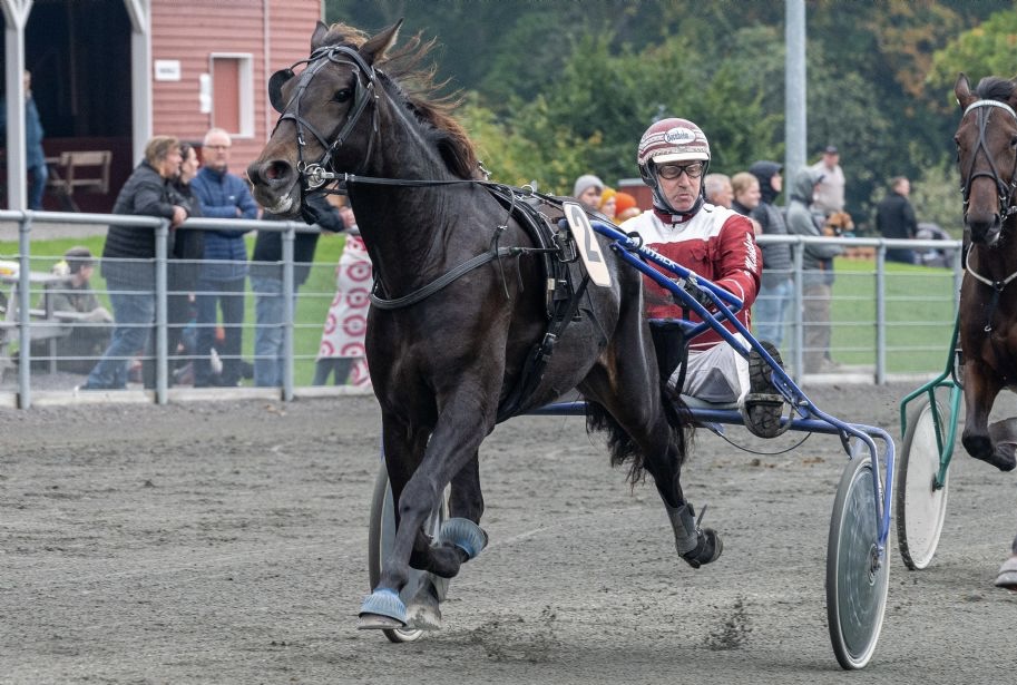 Frank Mikkelsen uden stor succes