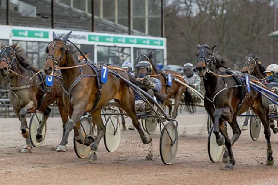 Ingen succes for Holger