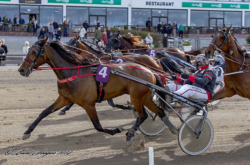 To gode andenpladser samt sejr