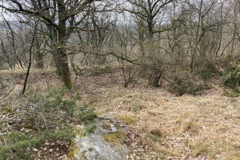 Fredning skal g�re Gamleborg mere synlig