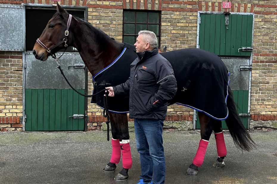 Gommans starter hest i topform i Sverige