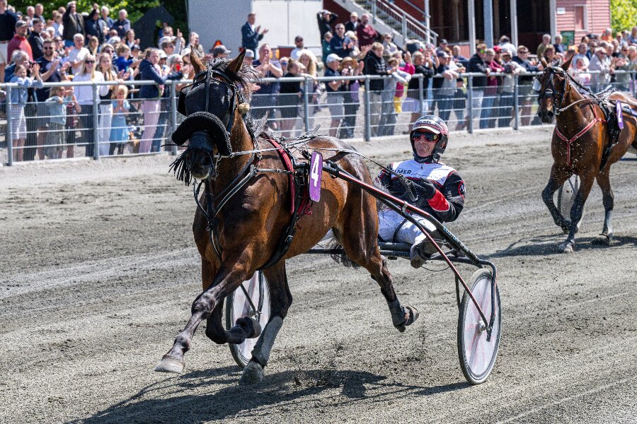 Eksperttipper tro mest p� Fr�ns Hjortsh�j