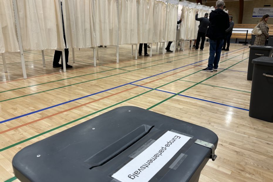 Socialdemokrater mistede mange stemmer