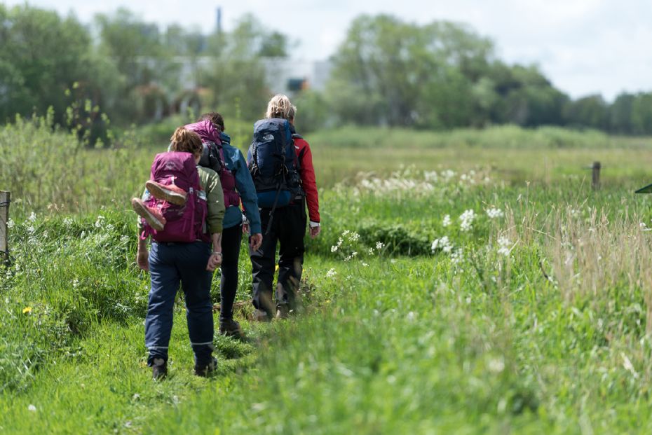 Vandreferier er sunde, smukke og klimavenlige