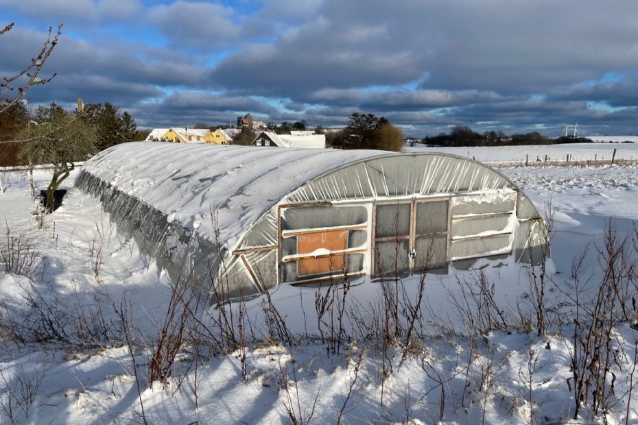 Nyt �konomisk tilbageslag for Bornholms �kojord