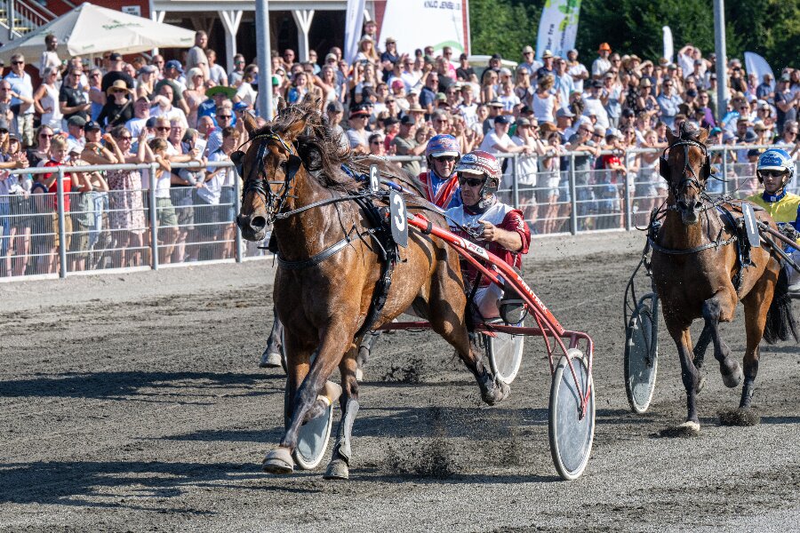 Bonny Boy t�t p� banerekorden