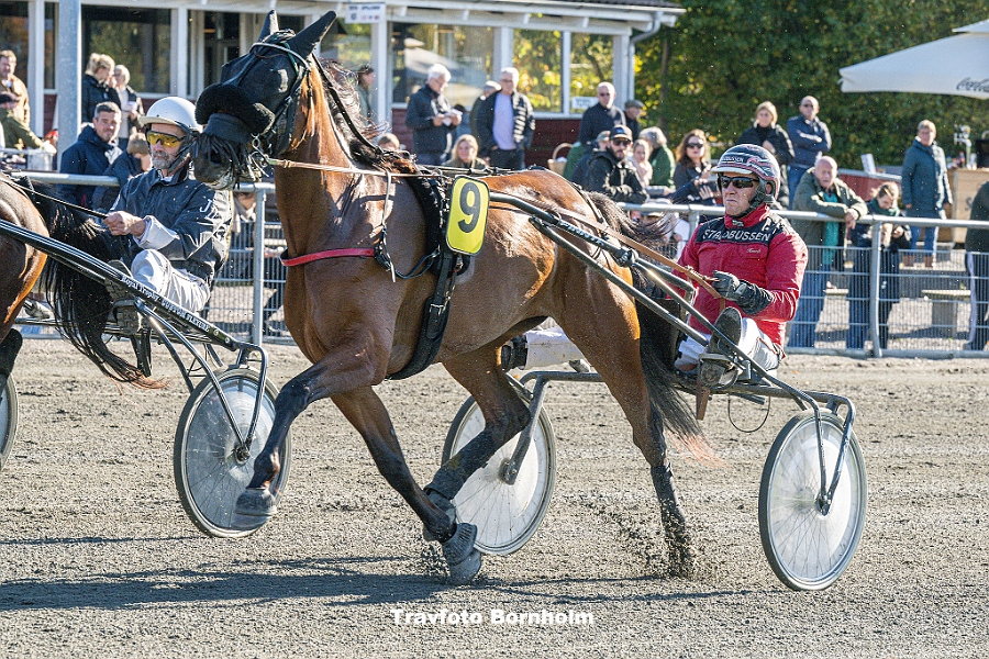 Gekko I pr�ver igen p� Lunden