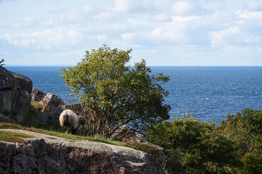 Stort areal er landbrugsjord