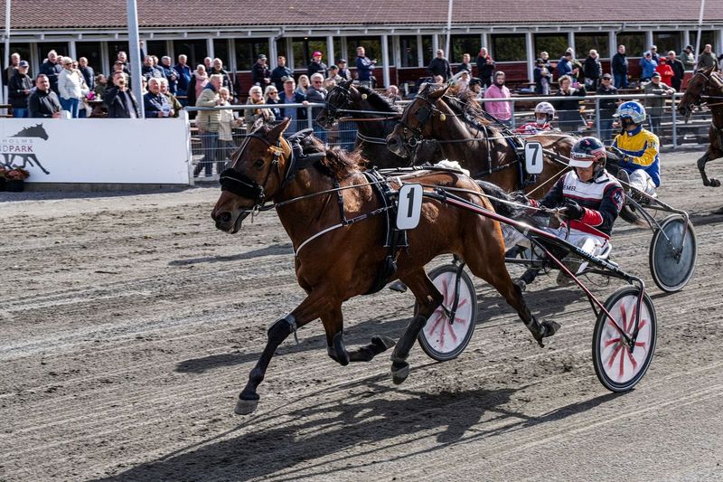 Apollo Damg�rd jagter tredje GL-sejr i tr�k