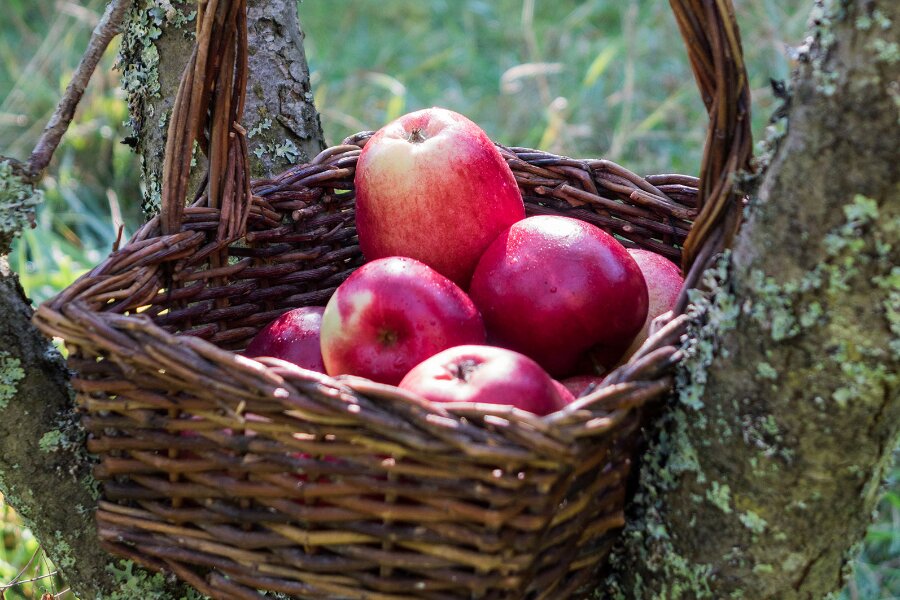 Danske �bler er blandt verdens bedste